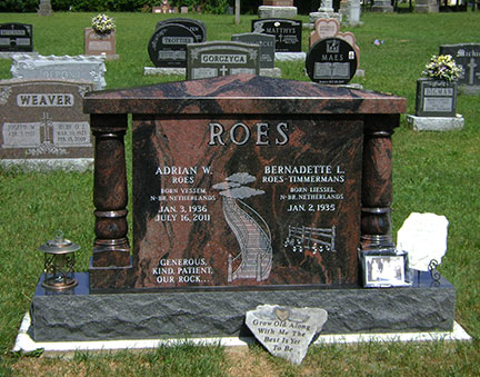 ROES 61102